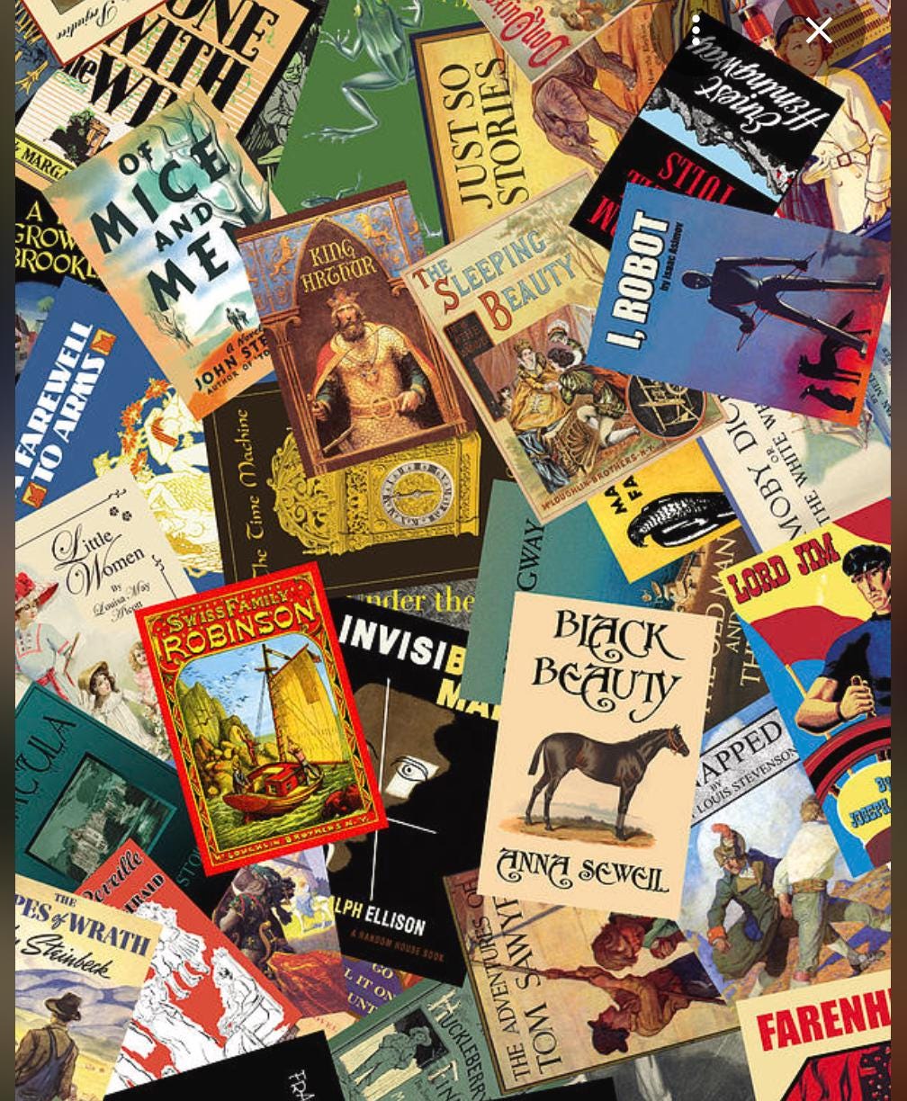 Custom Favorite Book or Novel Kindle Case (11th gen, 6 inch display)