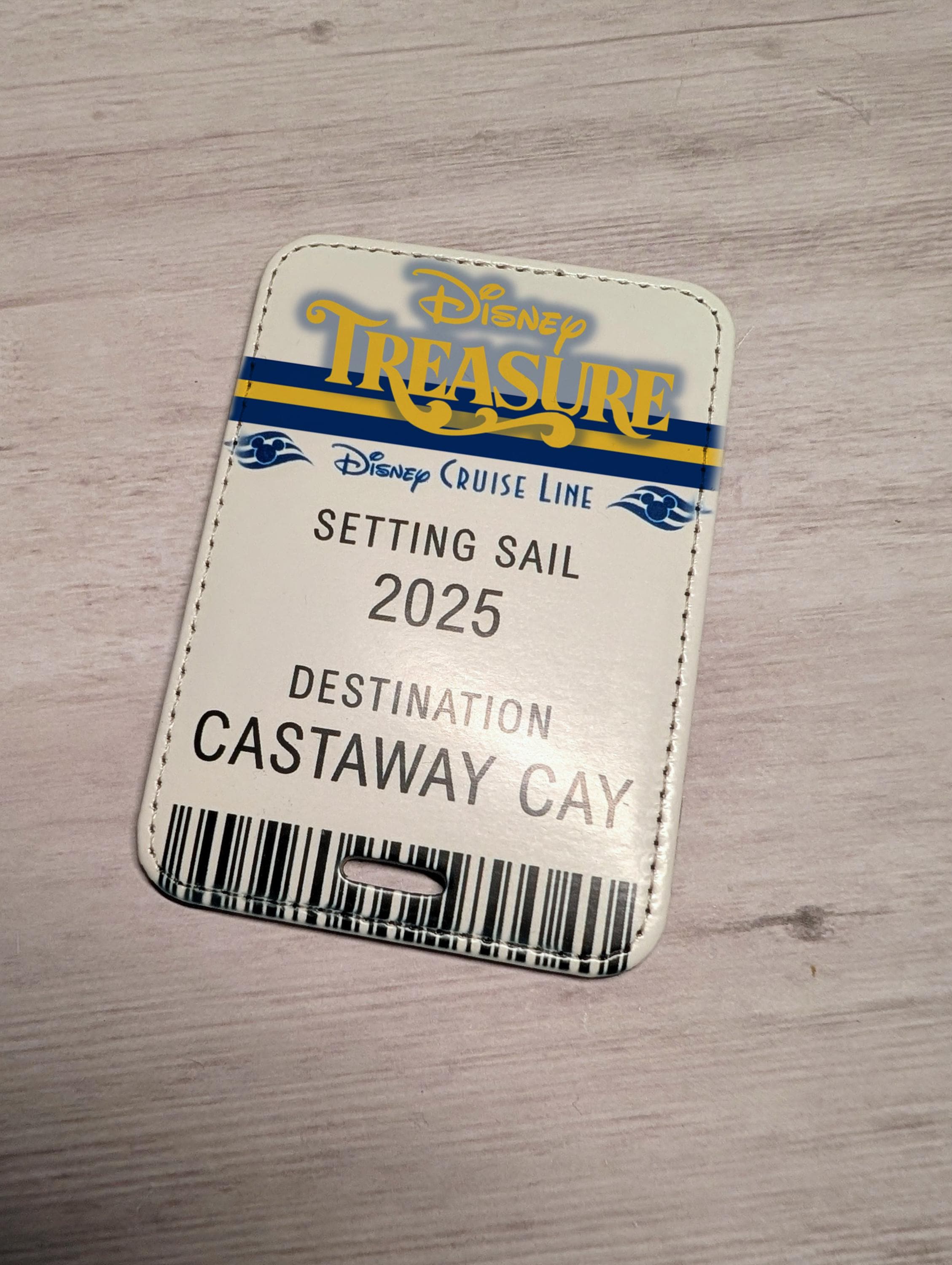 Disney Cruise Treasure Trip Announcement Ticket Luggage Tag