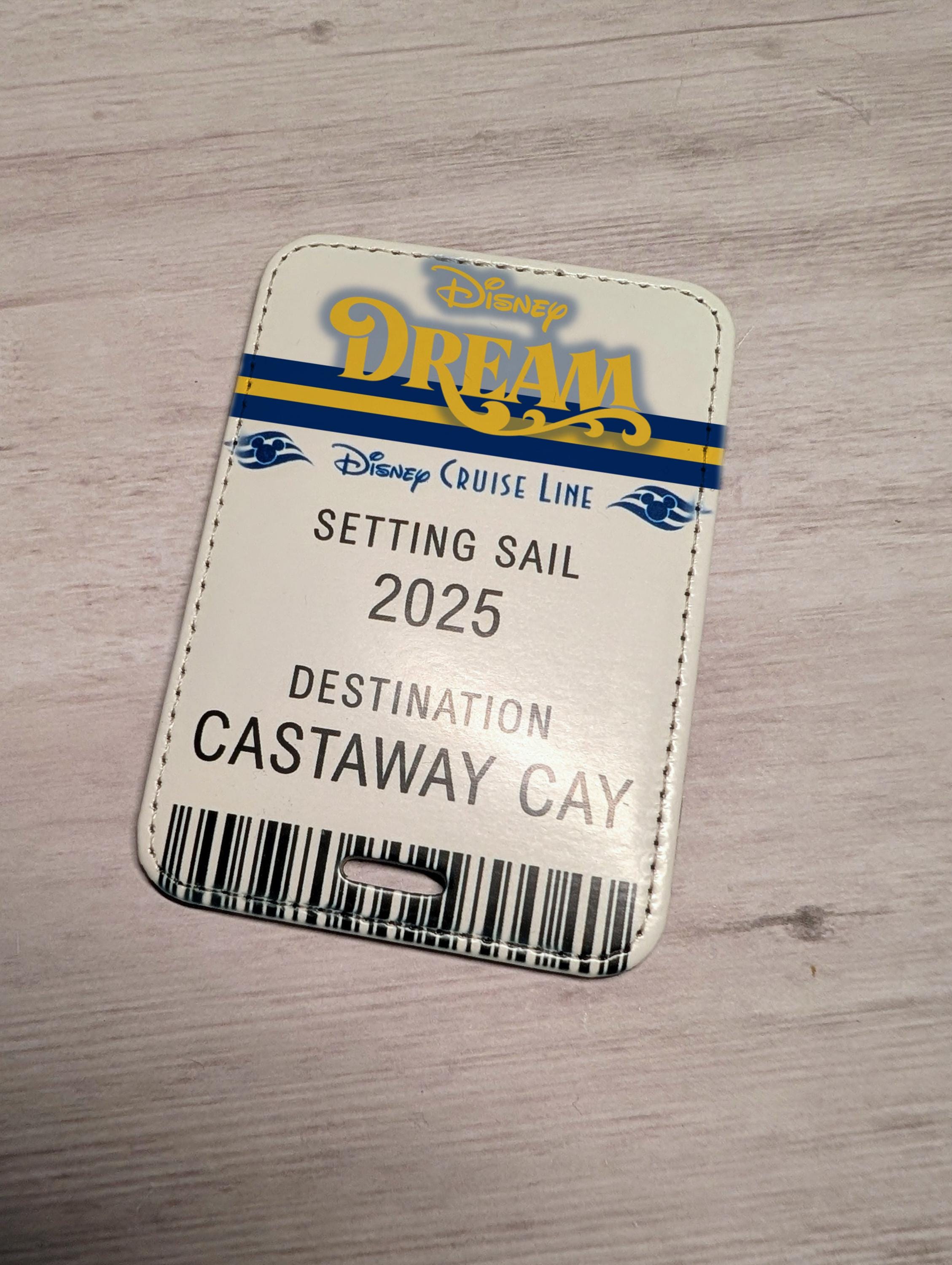 Disney Cruise Dream Trip Announcement Ticket Luggage Tag