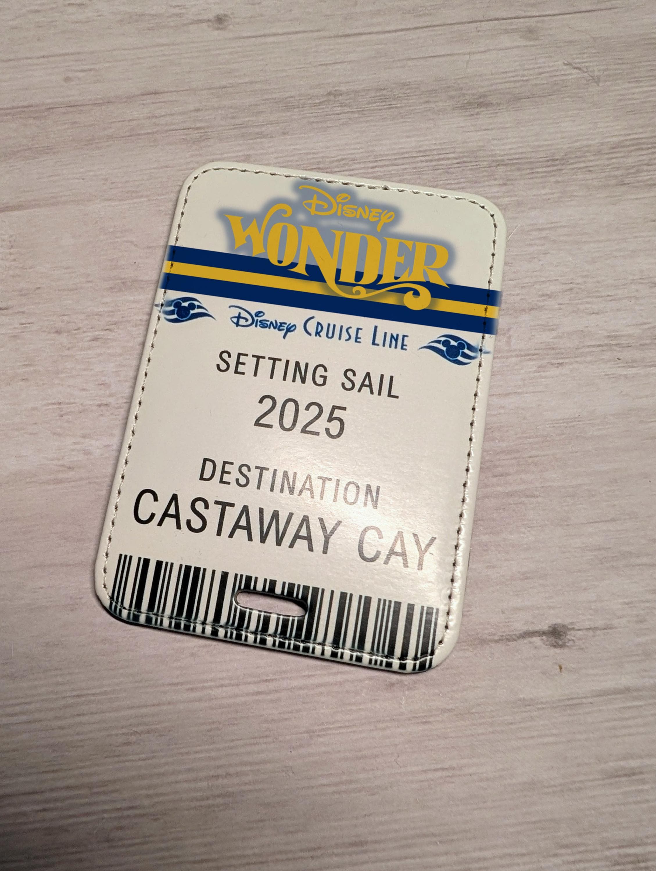 Disney Cruise Wonder Trip Announcement Ticket Luggage Tag